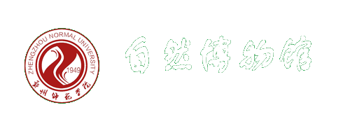 自然博物馆
