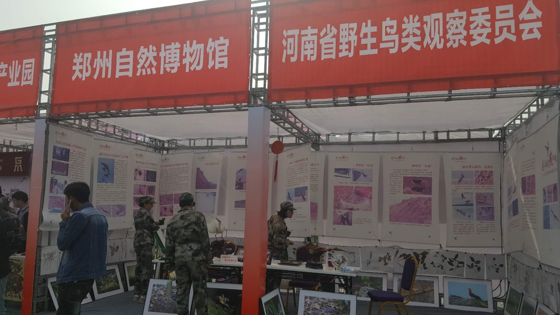 520468523709946997.jpg 520468523709946997.jpg